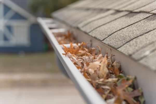Leaf Barrier Installation in Piqua